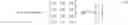 Fig. 04 - Multiple input, multiple output wireless communication system, associated methods and data structures