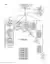 Fig. 33 - Methods and apparatus of implementing and/or using a dedicated control channel