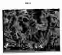 Fig. 09 - Rare earth compositions and structures for removing phosphates from water