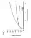 Fig. 06 - Cleansing composition including microencapsulated delivery vehicles