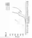 Fig. 10 - Cleansing composition including microencapsulated delivery vehicles