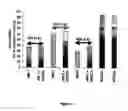 Fig. 04 - Aplidine for multiple myeloma treatment