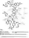Fig. 11 - Method of treating and/or preventing cancers using Sartans and/or Statins to modulate VDR, and/or PPAR, and/or GCR and/or CB1 receptors; in conjunction with certain bacteriostatic antibiotics