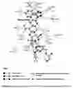 Fig. 12 - Method of treating and/or preventing cancers using Sartans and/or Statins to modulate VDR, and/or PPAR, and/or GCR and/or CB1 receptors; in conjunction with certain bacteriostatic antibiotics