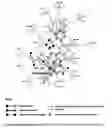 Fig. 14 - Method of treating and/or preventing cancers using Sartans and/or Statins to modulate VDR, and/or PPAR, and/or GCR and/or CB1 receptors; in conjunction with certain bacteriostatic antibiotics