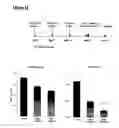 Fig. 22 - Biological agent that causes IL-6 receptor release
