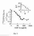 Fig. 06 - Modified and stabilized GDF propeptides and uses thereof