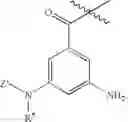 Fig. 12 - Modified lysine-mimetic compounds