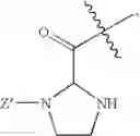 Fig. 13 - Modified lysine-mimetic compounds