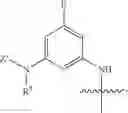 Fig. 18 - Modified lysine-mimetic compounds