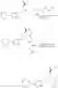 Fig. 40 - Modified lysine-mimetic compounds
