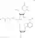 Fig. 06 - Nucleotide and oligonucleotide prodrugs
