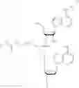 Fig. 07 - Nucleotide and oligonucleotide prodrugs