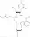 Fig. 09 - Nucleotide and oligonucleotide prodrugs