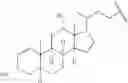 Fig. 12 - Nucleotide and oligonucleotide prodrugs