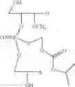 Fig. 37 - Nucleotide and oligonucleotide prodrugs