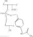 Fig. 42 - Nucleotide and oligonucleotide prodrugs