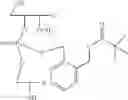 Fig. 46 - Nucleotide and oligonucleotide prodrugs