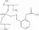 Fig. 47 - Nucleotide and oligonucleotide prodrugs