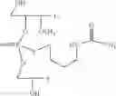 Fig. 52 - Nucleotide and oligonucleotide prodrugs