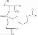 Fig. 56 - Nucleotide and oligonucleotide prodrugs