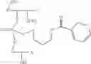 Fig. 58 - Nucleotide and oligonucleotide prodrugs