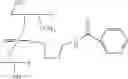 Fig. 59 - Nucleotide and oligonucleotide prodrugs