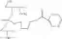 Fig. 61 - Nucleotide and oligonucleotide prodrugs