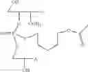 Fig. 62 - Nucleotide and oligonucleotide prodrugs