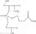Fig. 66 - Nucleotide and oligonucleotide prodrugs