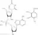 Fig. 70 - Nucleotide and oligonucleotide prodrugs