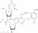 Fig. 71 - Nucleotide and oligonucleotide prodrugs