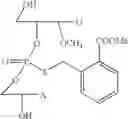 Fig. 72 - Nucleotide and oligonucleotide prodrugs