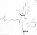 Fig. 93 - Nucleotide and oligonucleotide prodrugs