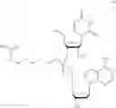 Fig. 94 - Nucleotide and oligonucleotide prodrugs