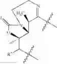 Fig. 12 - Bifunctional macrolide heterocyclic compounds and methods of making and using the same