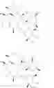 Fig. 35 - Bifunctional macrolide heterocyclic compounds and methods of making and using the same