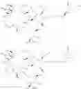 Fig. 71 - Bifunctional macrolide heterocyclic compounds and methods of making and using the same