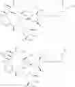 Fig. 75 - Bifunctional macrolide heterocyclic compounds and methods of making and using the same