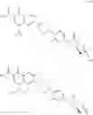 Fig. 85 - Bifunctional macrolide heterocyclic compounds and methods of making and using the same