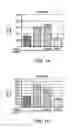 Fig. 02 - Compositions and methods for siRNA inhibition of angiogenesis