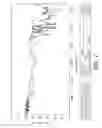 Fig. 08 - Nanoparticulate inclusion and charge complex for pharmaceutical formulations