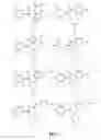Fig. 06 - Antiviral Compositions and Methods