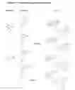 Fig. 08 - Antiviral Compositions and Methods