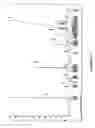 Fig. 15 - Compounds useful for treating neurodegenerative disorders