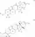 Fig. 31 - Compounds useful for treating neurodegenerative disorders