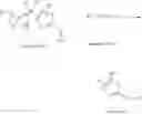 Fig. 12 - Thiazole Analogues and Uses Thereof