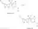 Fig. 13 - Thiazole Analogues and Uses Thereof