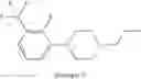 Fig. 55 - Disubstituted phenylpiperidines/piperazines as modulators of dopamine neurotransmission