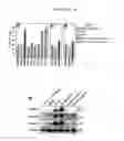 Fig. 10 - Agents For Treating Neurodegenerative Diseases